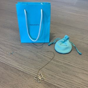 Tiffany & Co. butterfly necklace with extended chain